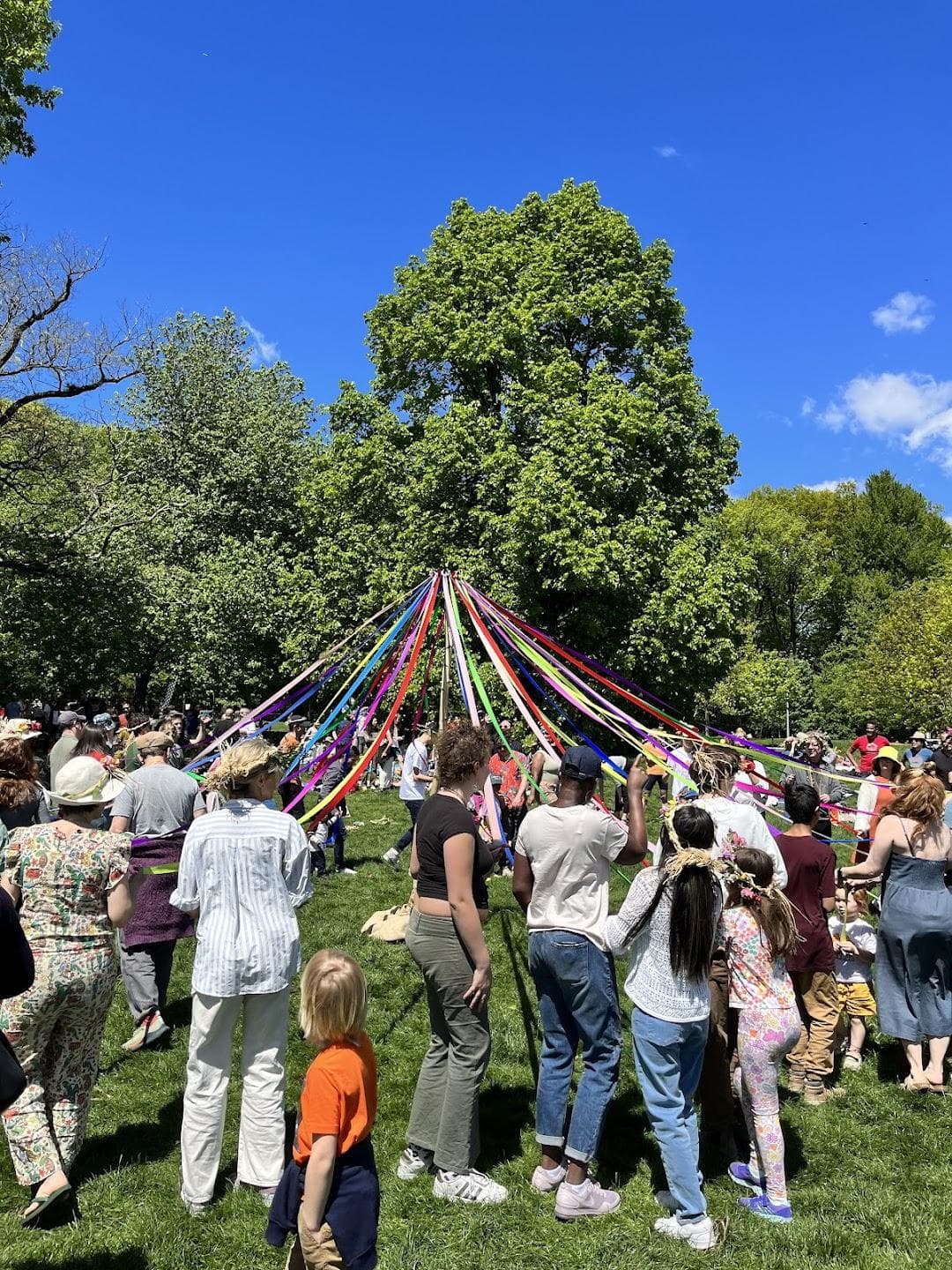 The Brooklyn Waldorf School photo 3