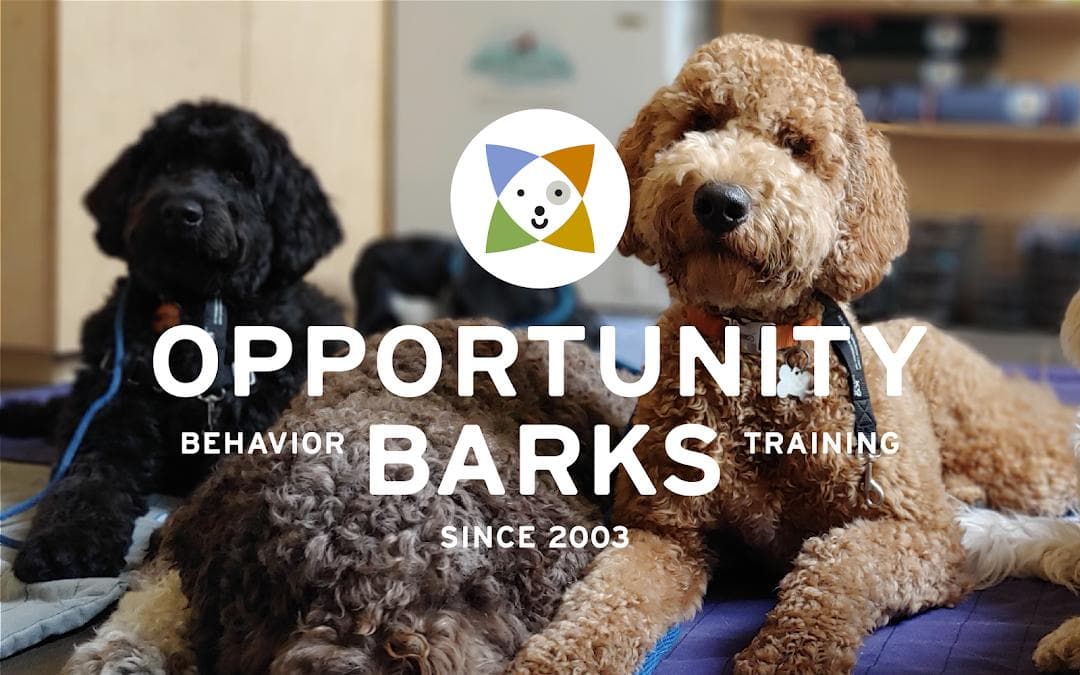 Opportunity Barks Behavior & Training photo 3