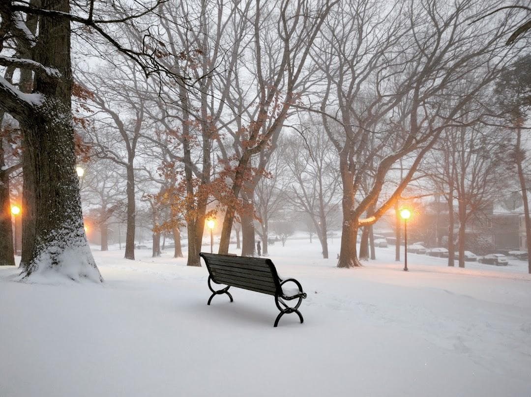 Nathan Tufts Park photo 1