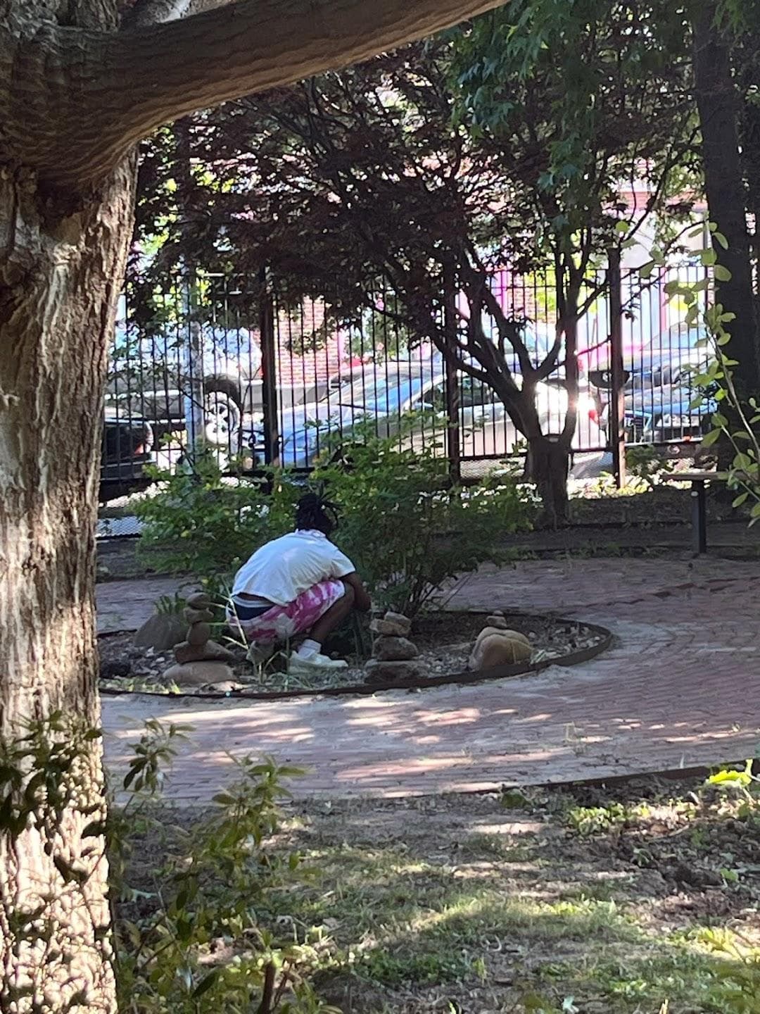 Kosciuszko Street Garden and Learning Center photo 3