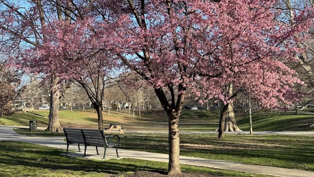 Clark Park photo 6