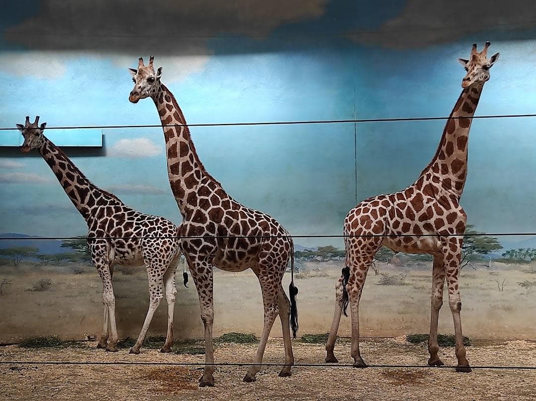 Bronx Zoo photo 1
