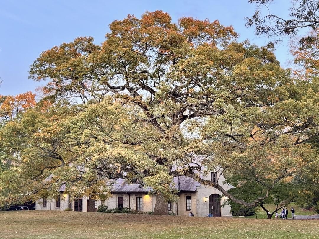 Edgerton Park photo 4
