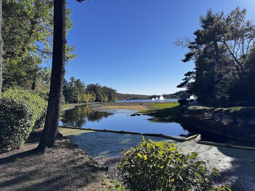 McLoone's Boathouse photo 4