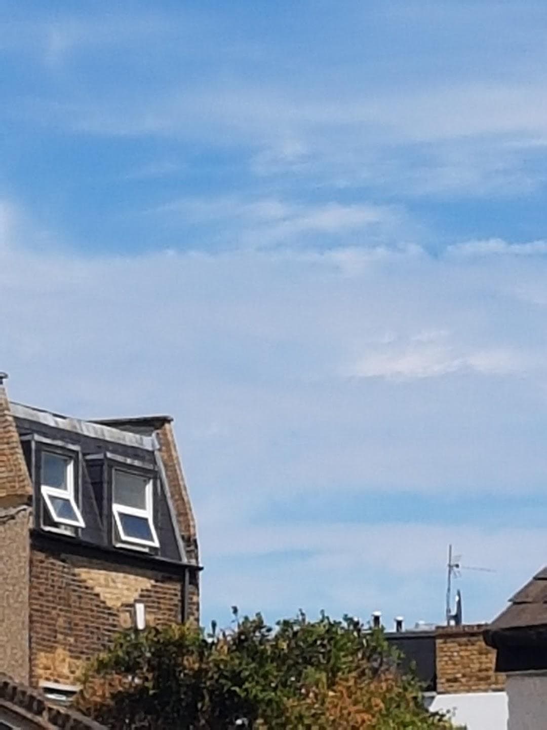 Lavender Hill photo 6