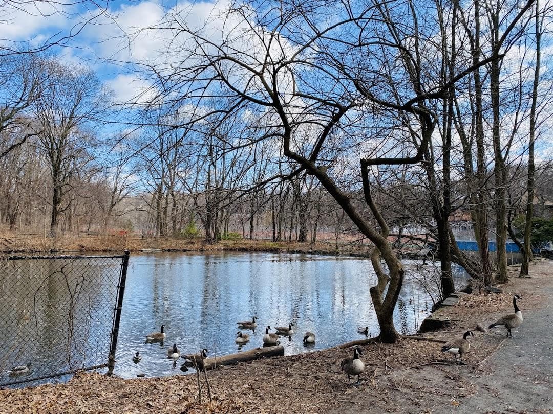 Van Cortlandt Nature Center photo 4