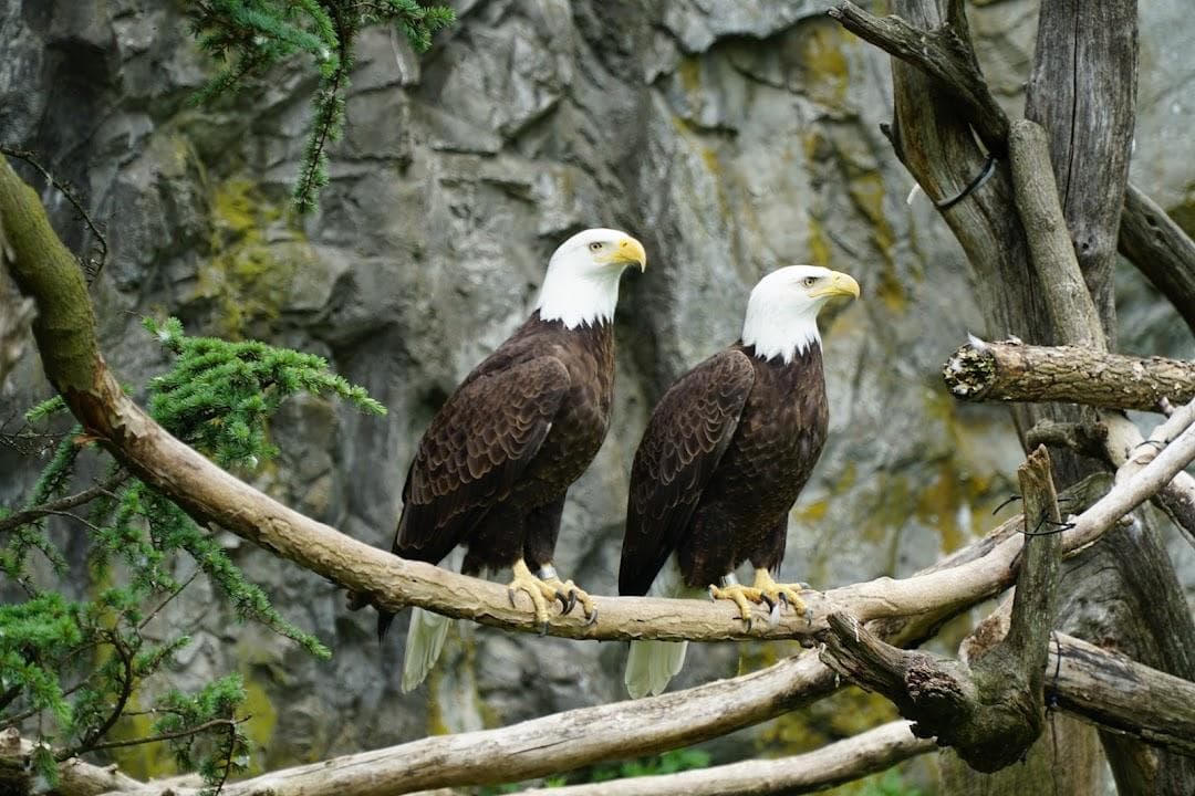 Roger Williams Park Zoo photo 1