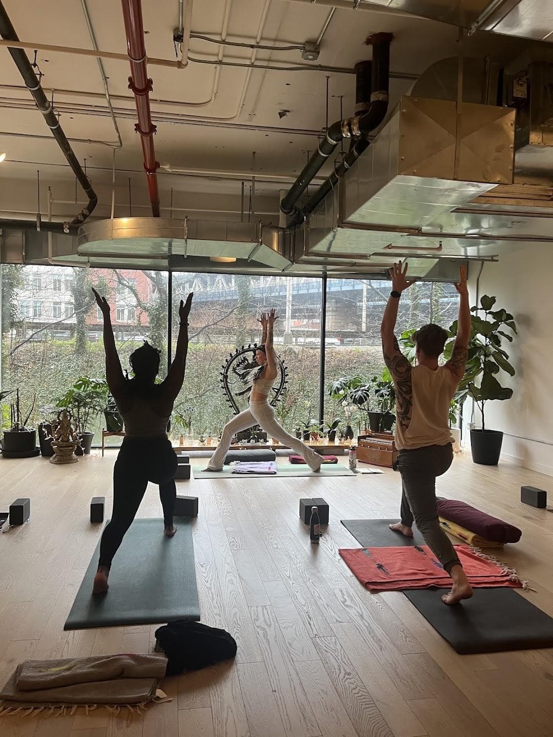 Abhaya Yoga Dumbo photo 2