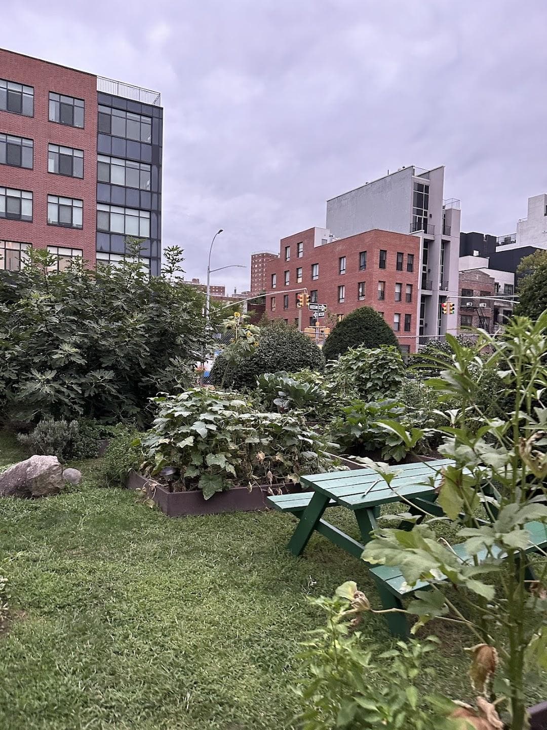 Clifton Place Memorial Garden & Park photo 4