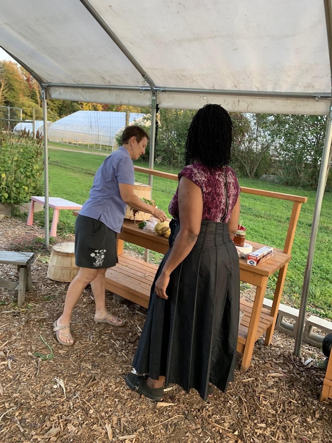 Massaro Community Farm Inc photo 1