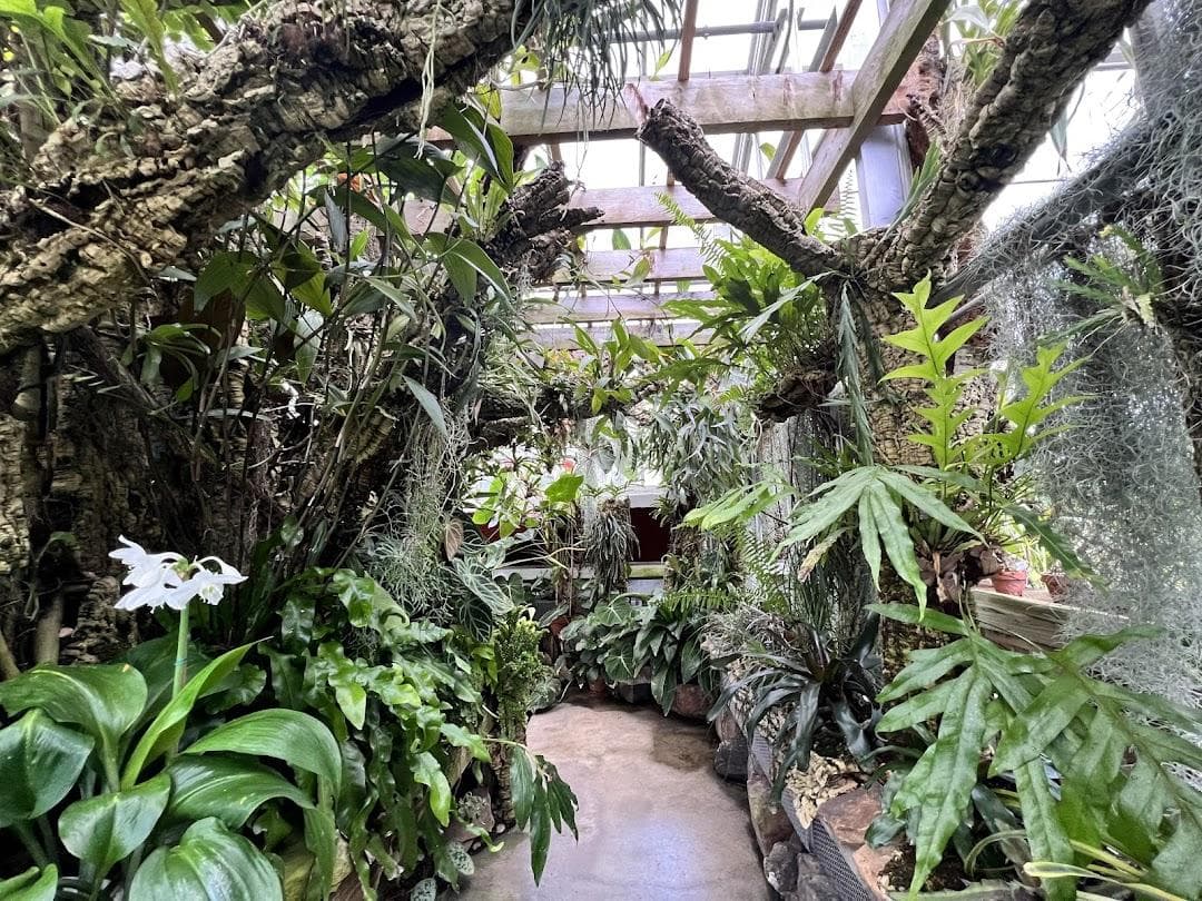UNC Charlotte Botanical Gardens photo 3