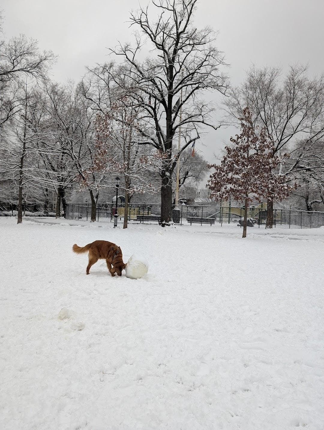Brower Park photo 2
