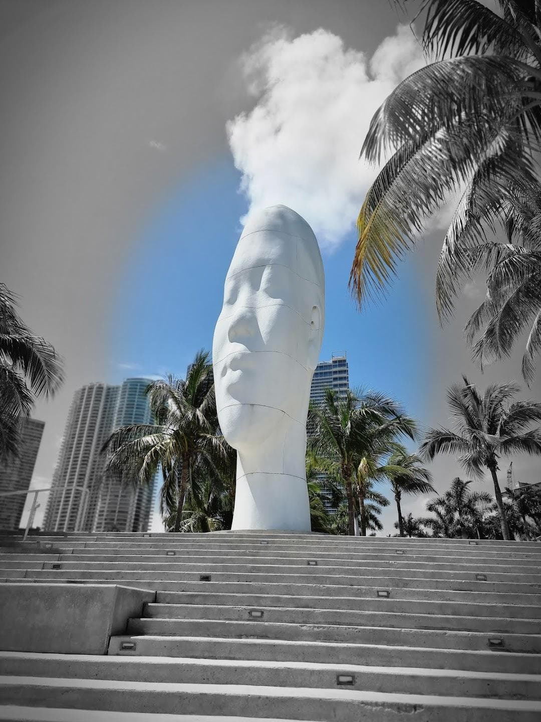 Pérez Art Museum Miami photo 6