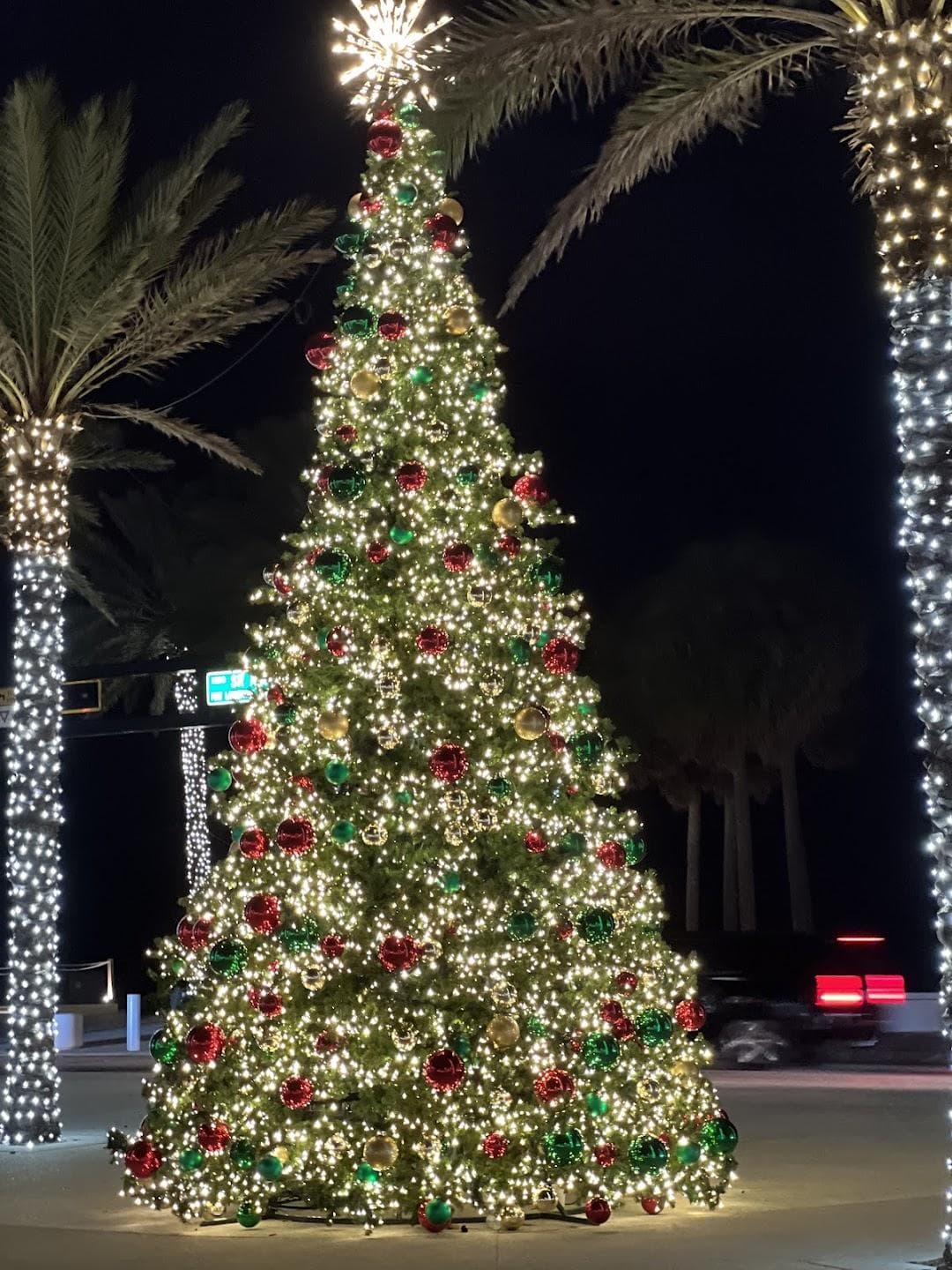 Las Olas Oceanside Park photo 2