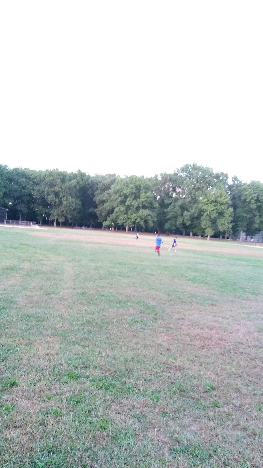 Springfield Playground photo 4