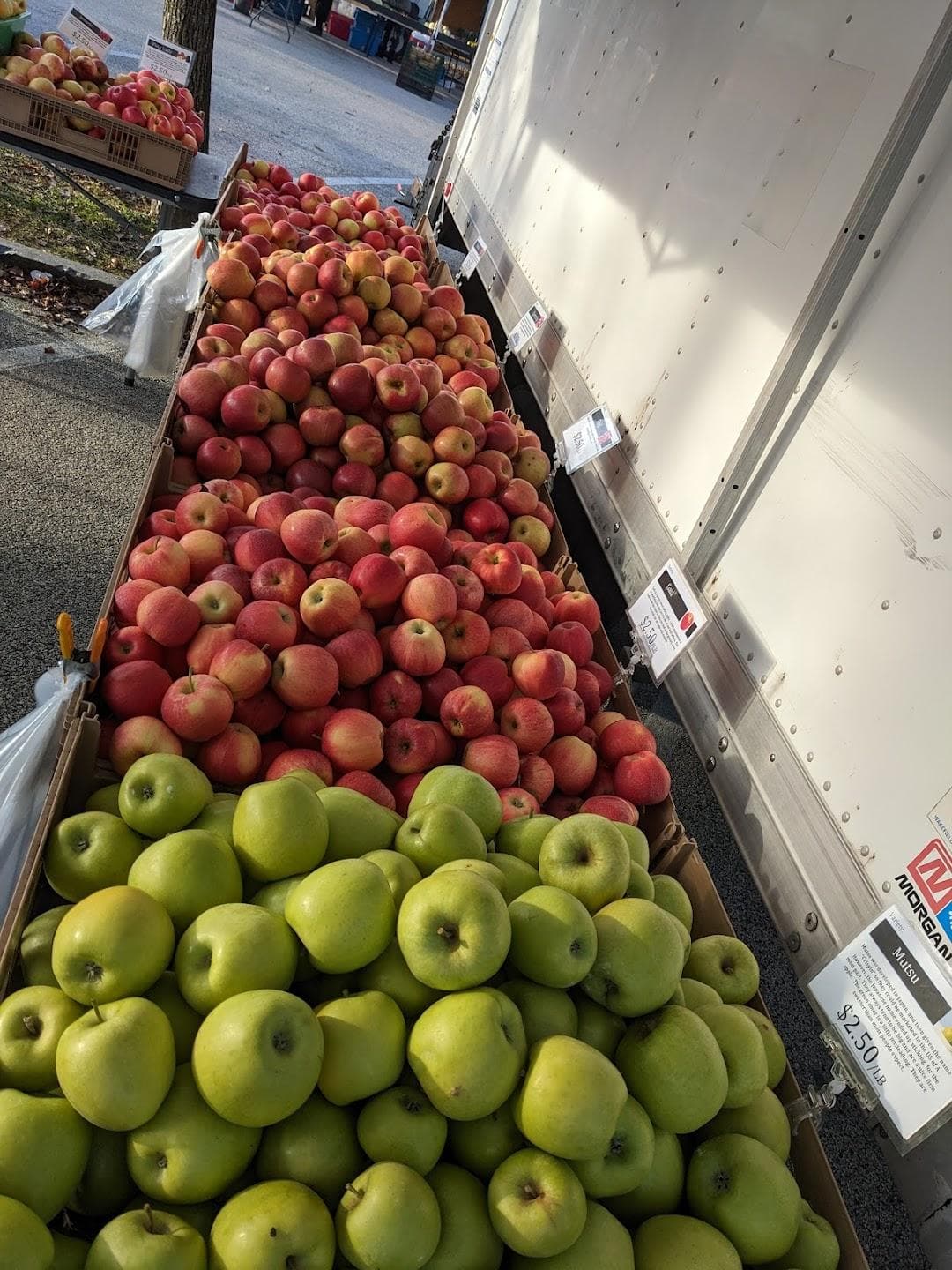 Bryn Mawr Farmers Market photo 1