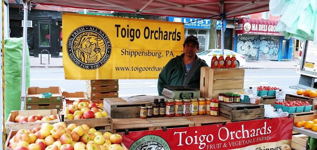 Tompkins Square Park Greenmarket photo 6