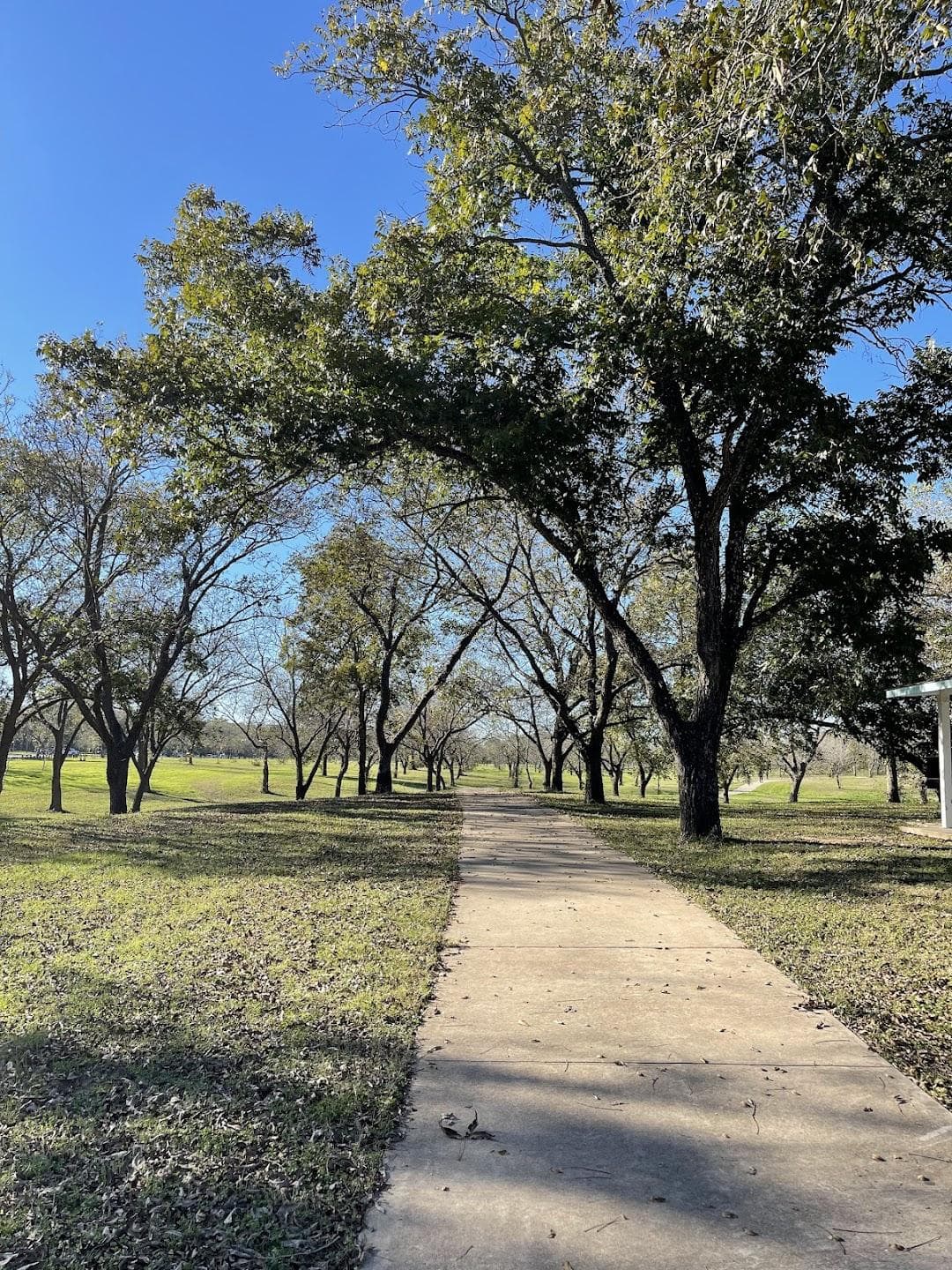 Richard Moya Park photo 6