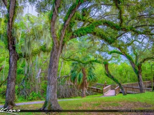 Enchanted Forest Elaine Gordon Park photo 1