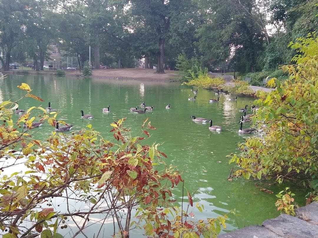 Captain Tilly Park photo 2