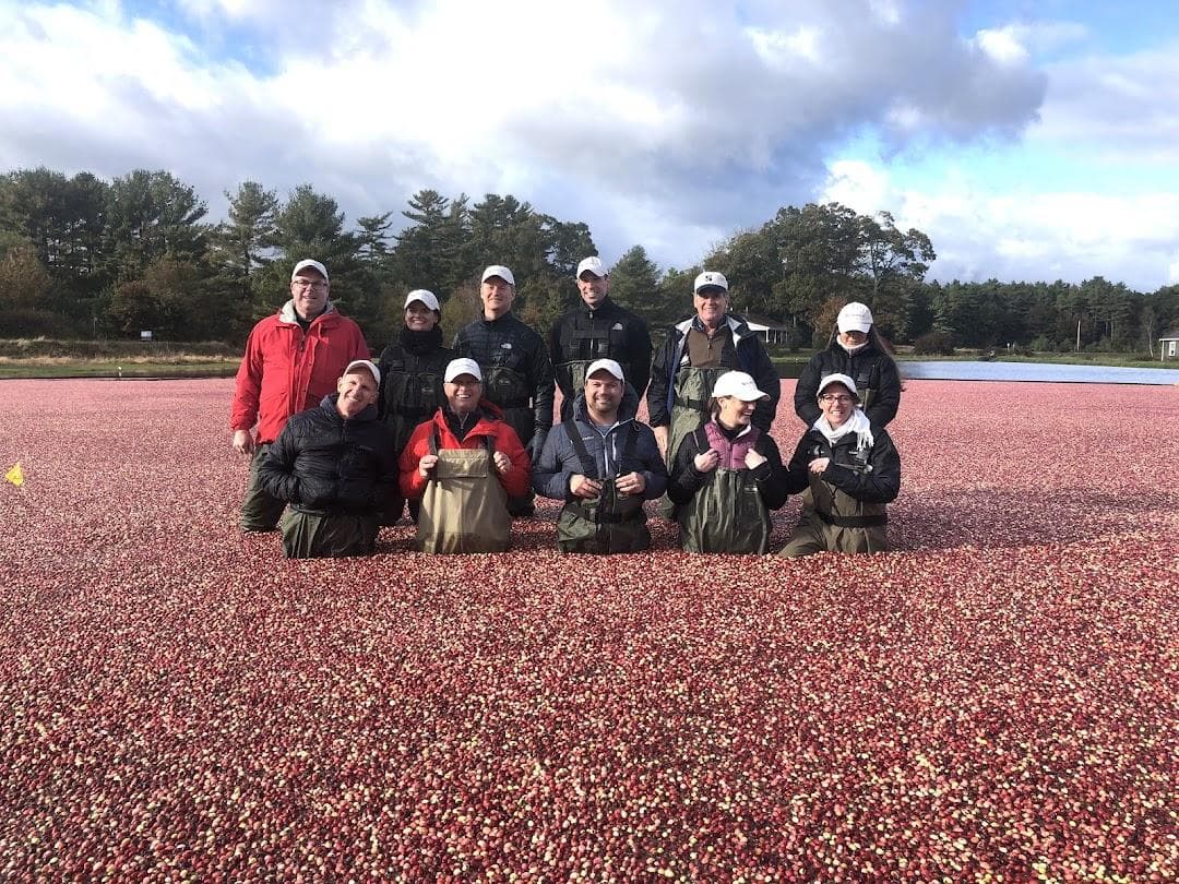 Bensons Pond Cranberries and Barn photo 1
