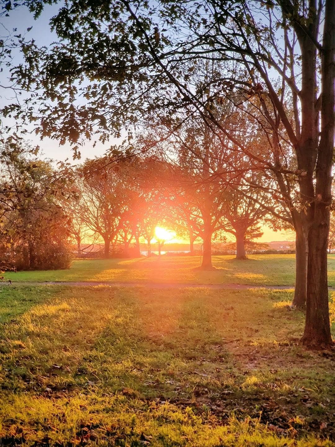 East Shore Park photo 6