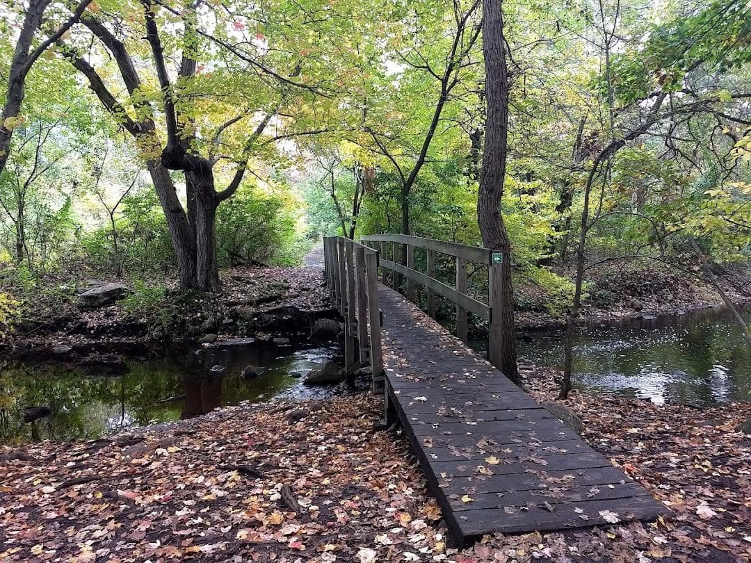 Rock Meadow Conservation Area photo 5