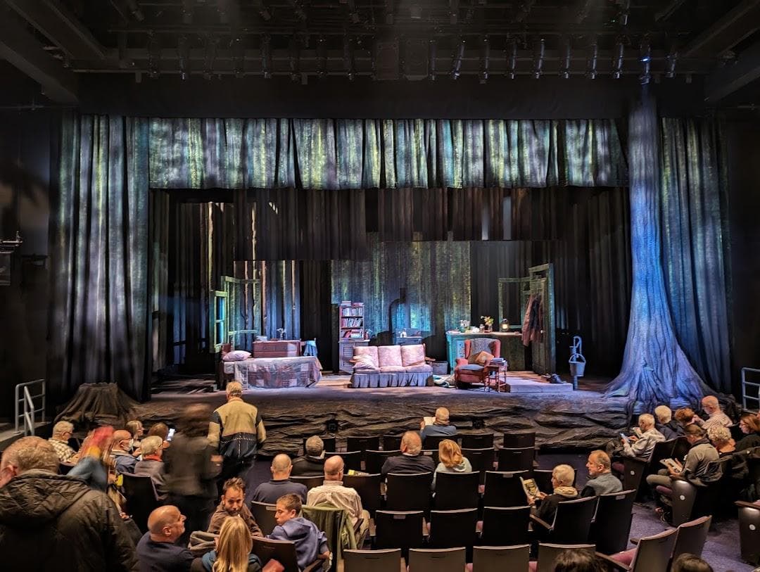 Laura Pels Theatre at the Harold and Miriam Steinberg Center for Theatre photo 4