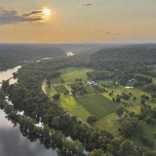 The Federal Twist Vineyard photo 5
