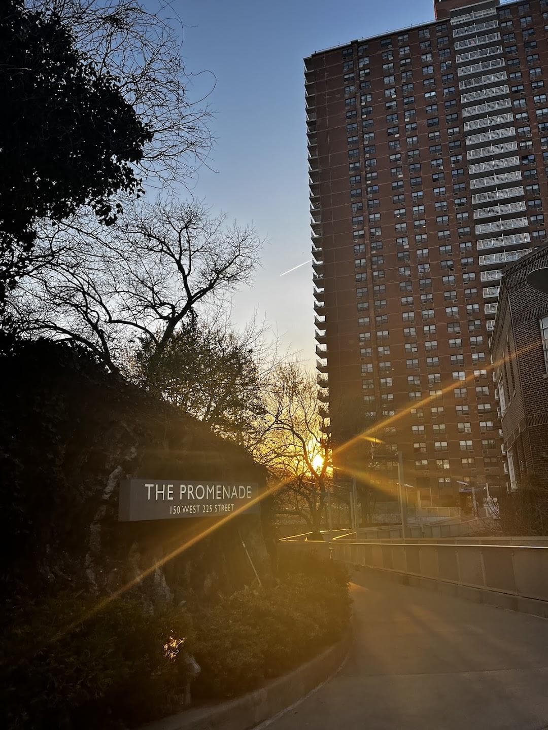 The Bronx photo 2