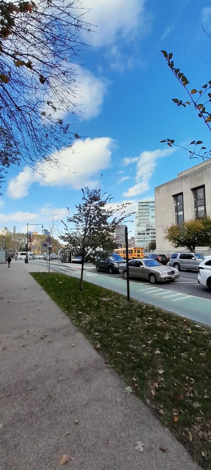 Flatbush photo 2