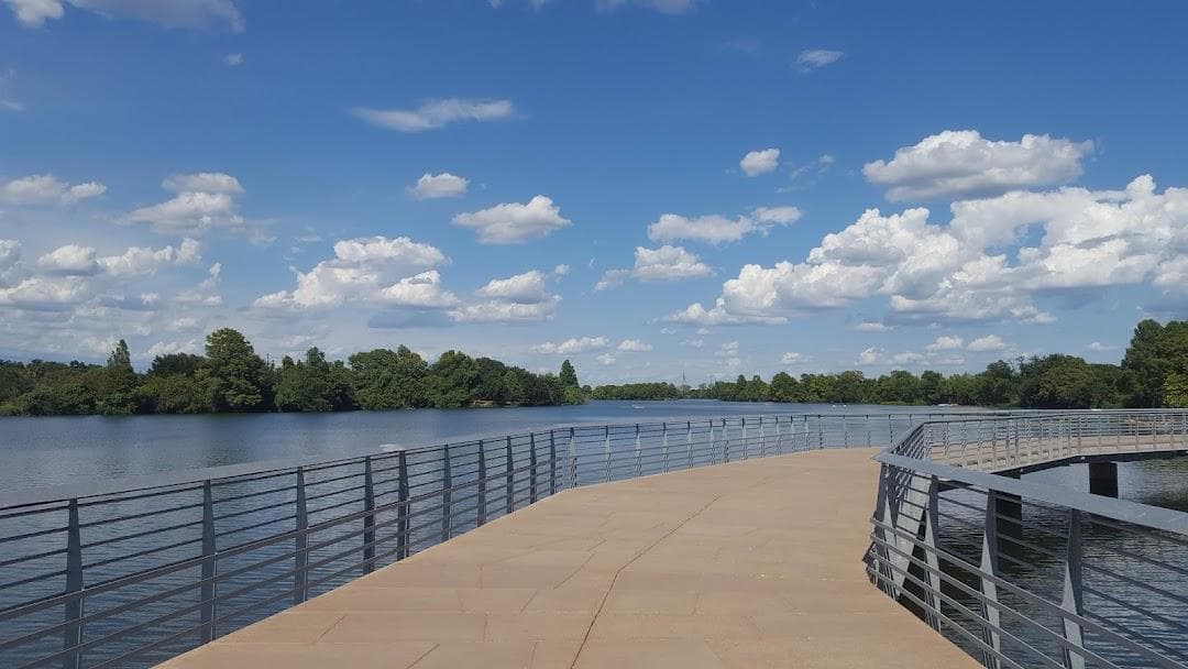 Edward Rendon Sr. Park at Festival Beach in Town Lake Metropolitan Park photo 4