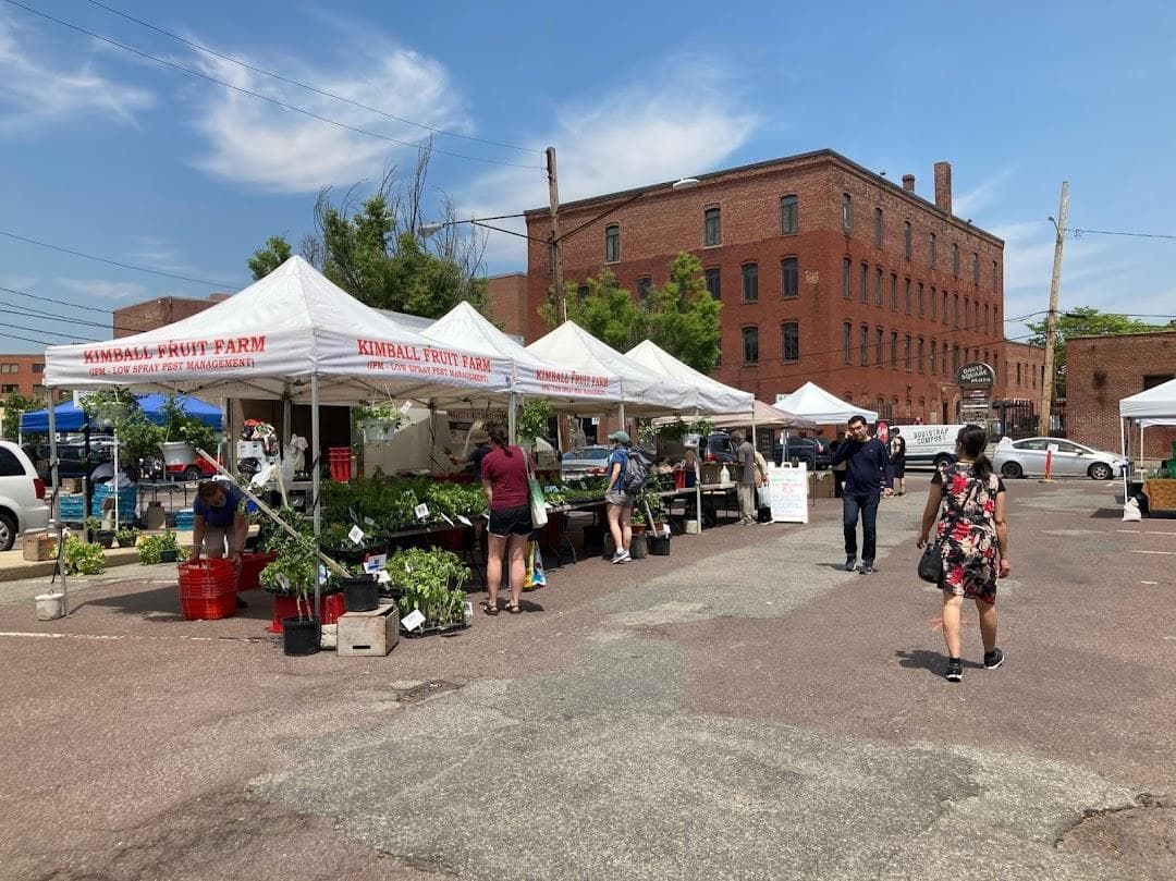 Davis Square Farmers Market photo 1