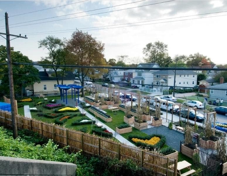 Curtis "50 Cent" Jackson Community Garden photo 5