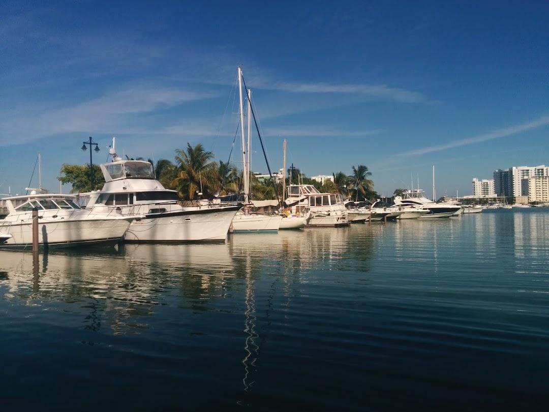 Pelican Harbor Marina photo 4