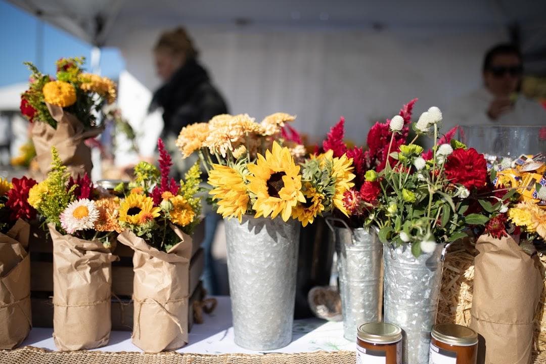 Texas Farmers' Market at Lakeline photo 1
