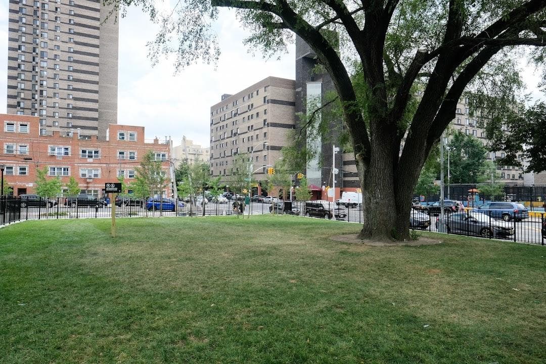 Mapes Park photo 6