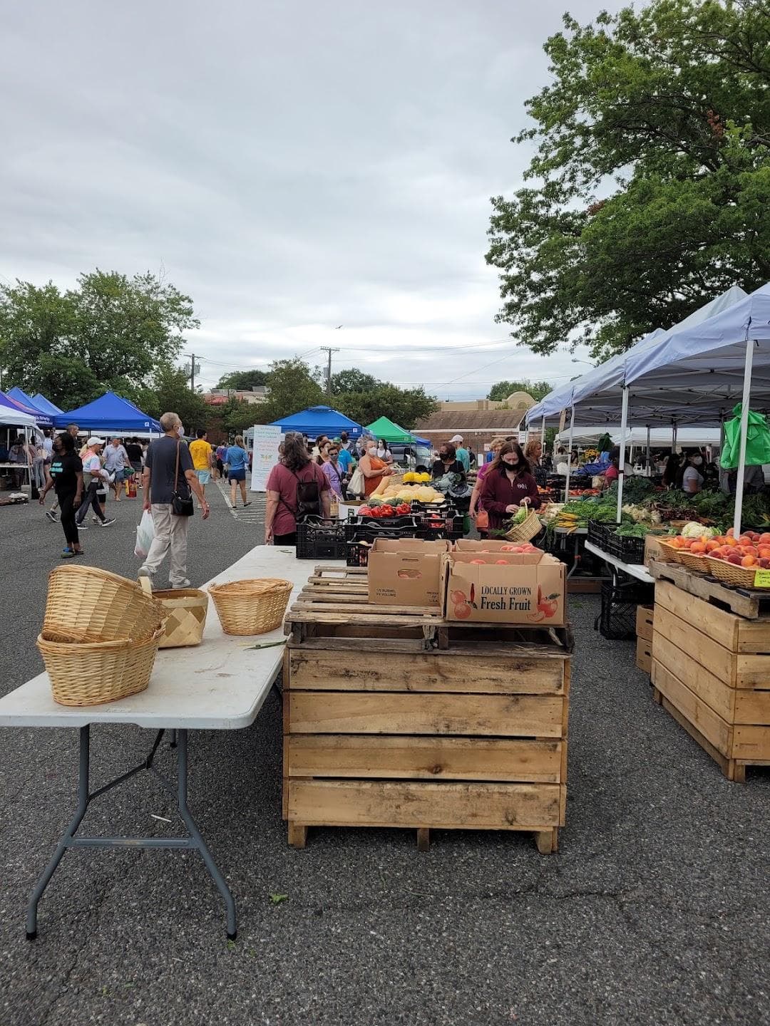 Montclair Farmers Market Walnut St. Station photo 6