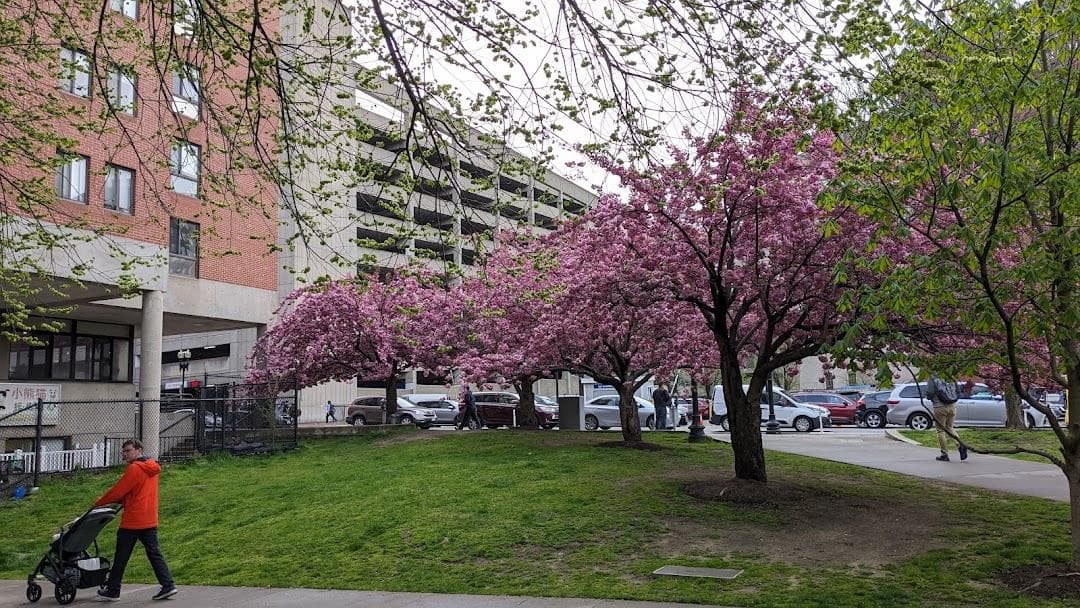 Elliot Norton Park photo 4