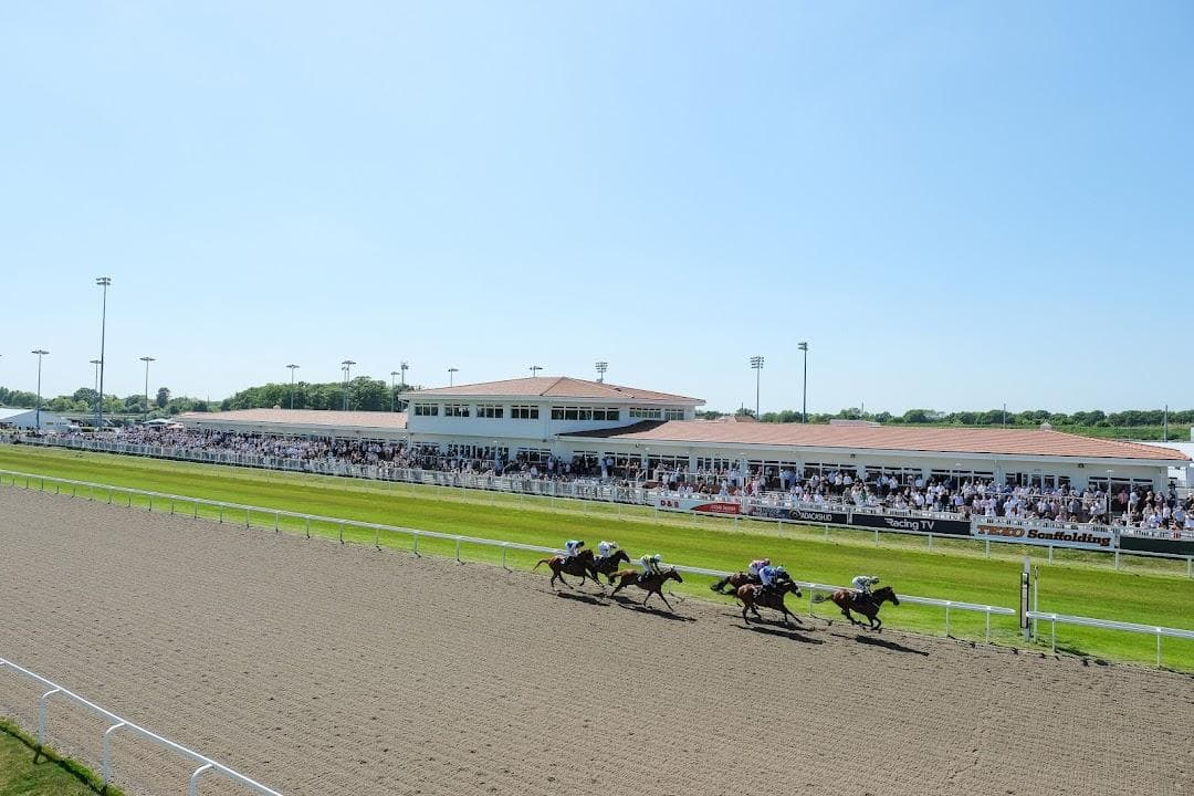Chelmsford City Racecourse photo 1