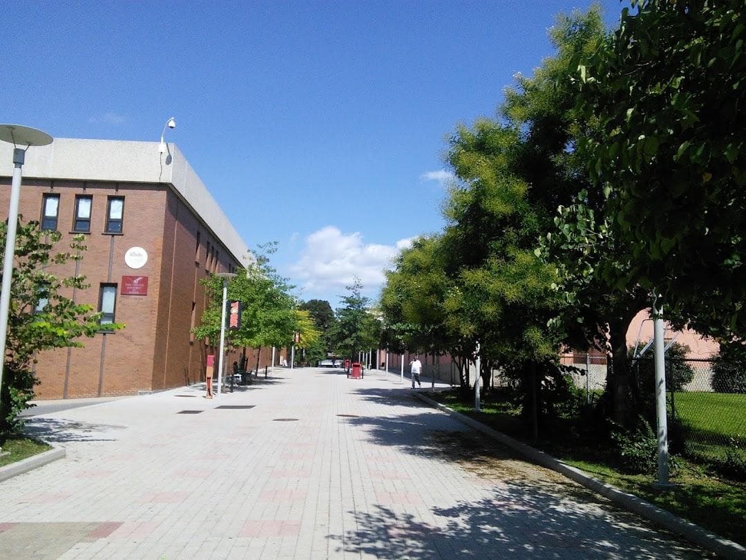 York College photo 5