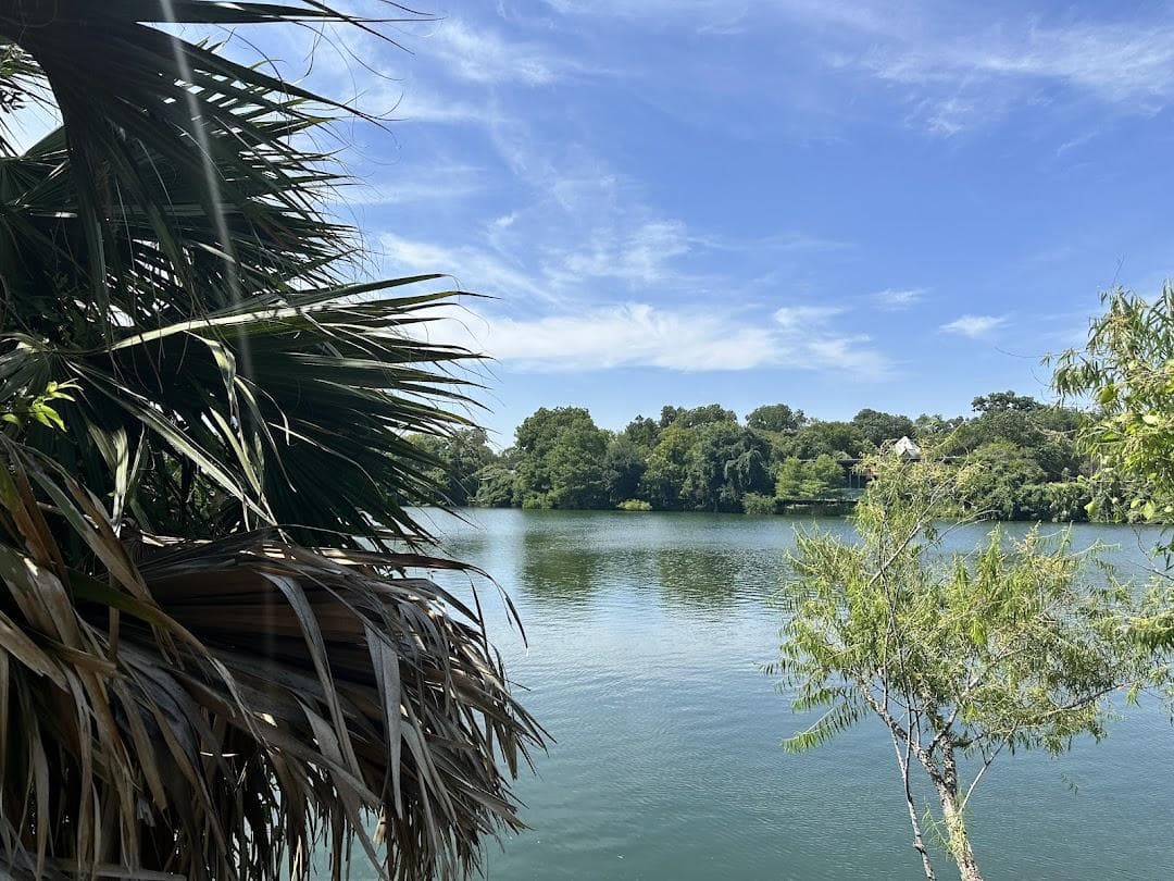 Edward Rendon Sr. Park at Festival Beach in Town Lake Metropolitan Park photo 2