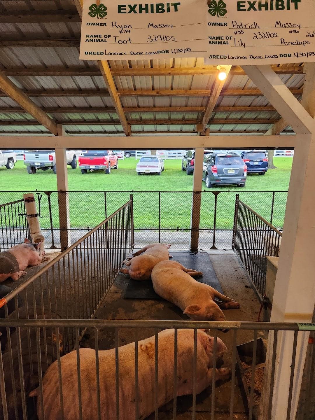 Salem County Fair Association photo 6