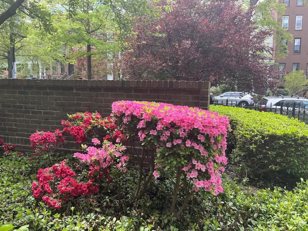 St. Joseph’s University, New York - Brooklyn photo 1