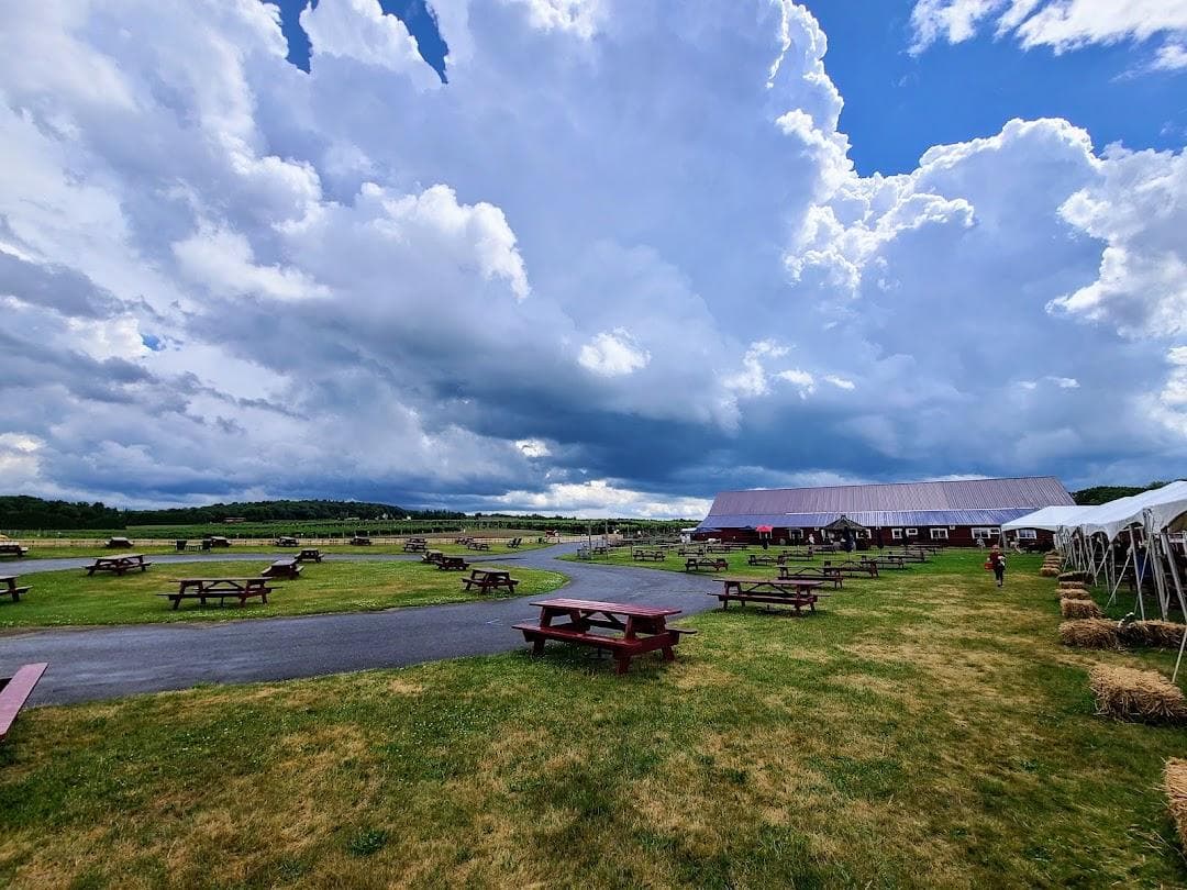 Belkin Family Lookout Farm - U-Pick Orchard - Taproom, Outdoor Dining and Market photo 3