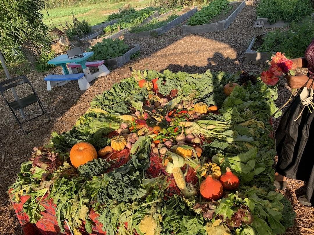 Massaro Community Farm Inc photo 6
