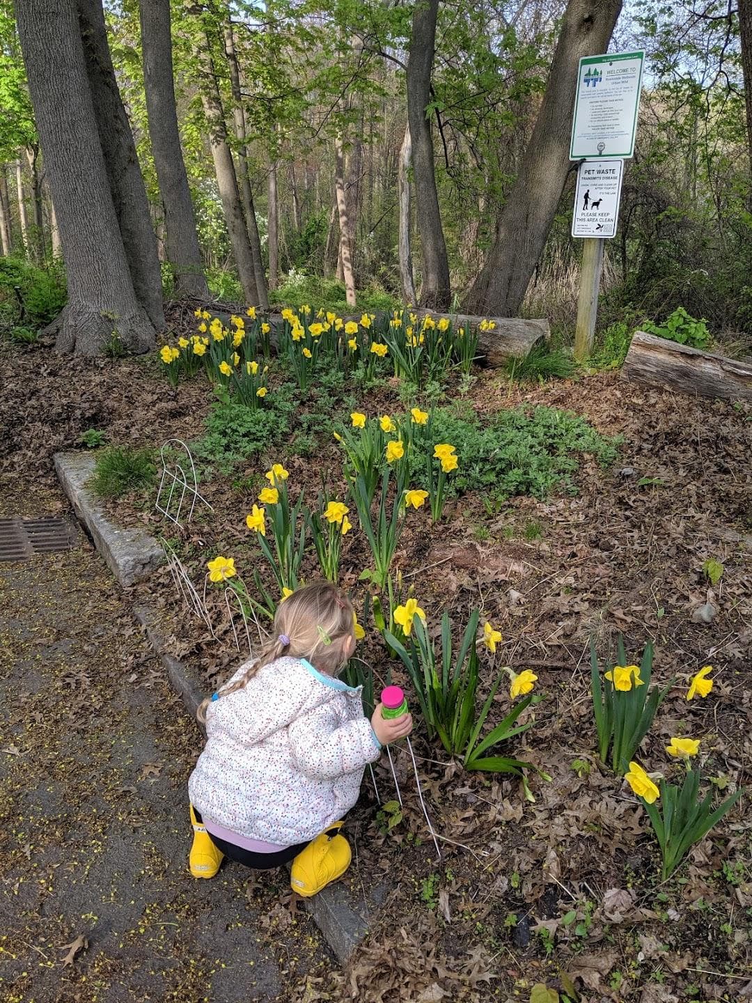 Roslindale Wetlands Urban Wilds photo 2