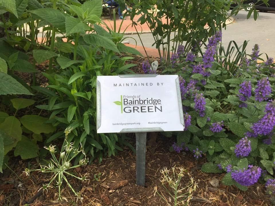 5th Street Plaza @ Bainbridge Green photo 6