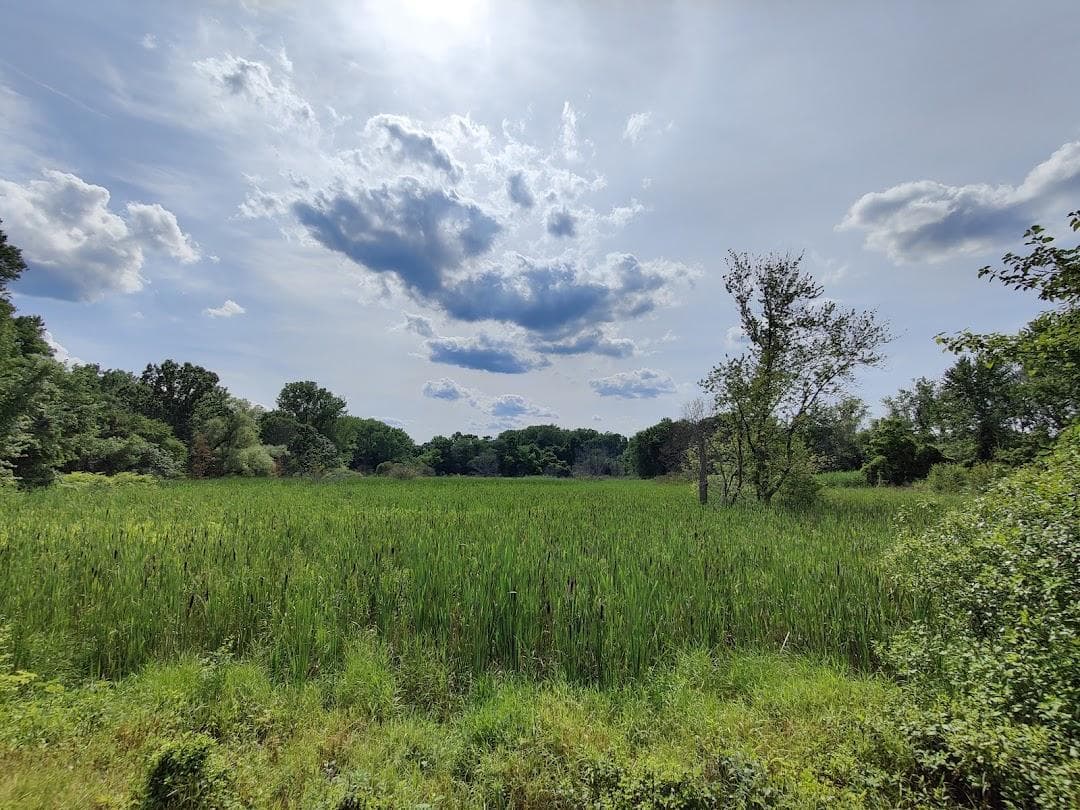 Mass Audubon's Boston Nature Center and Wildlife Sanctuary photo 1