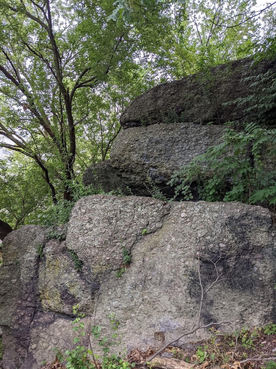 Nira Rock Urban Wild photo 4